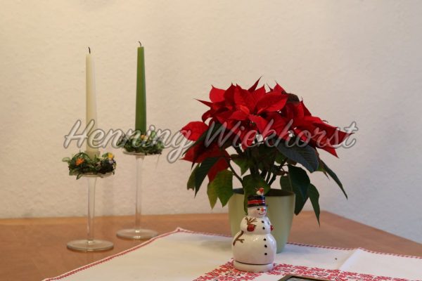 Blumen und Kerzen auf Tisch - ImageShop