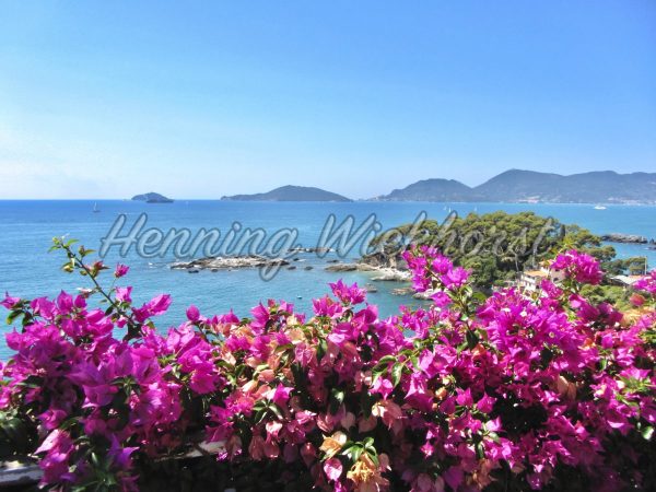 Blumiger Blick auf den Golf von La Spezia - ImageShop