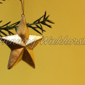 Goldener Stern vor Tannenzweig - ImageShop