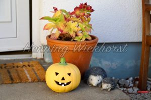Haloween-Pumpkin vor dem Haus - ImageShop