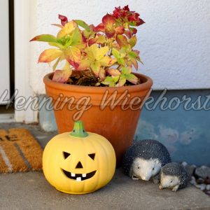 Haloween-Pumpkin vor dem Haus - ImageShop