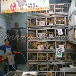 Huhn-Handel auf dem Markt von Wan Chai - ImageShop
