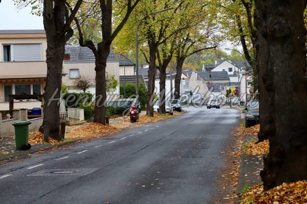 Leere Stadtstrasse im Herbst - ImageShop