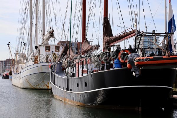 Segelschiffe im Hafen - ImageShop