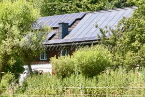 Solardach im Wald - ImageShop