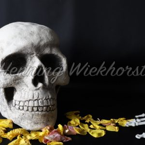 Totenkopf und Knochenhand - ImageShop