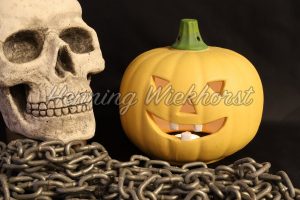 Totenkopf und Pumpkin - ImageShop