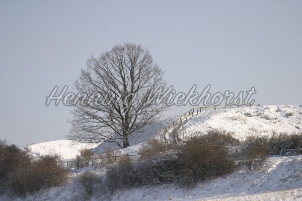 Verschneite Winterlandschaft - ImageShop